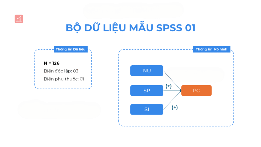 du-lieu-mau-spss-2