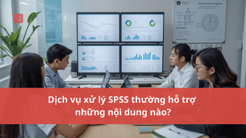 Dich-vu-xu-ly-SPSS-thuong-ho-tro-nhung-noi-dung-nao