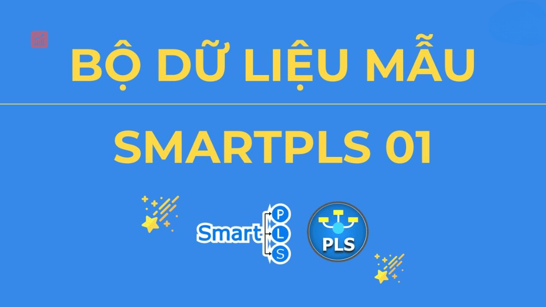 du-lieu-mau-smarpls-1
