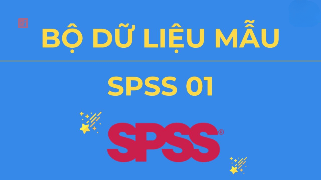 du-lieu-mau-spss-1