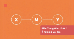 Biến Trung Gian Là Gì_ Ý nghĩa & Vai Trò