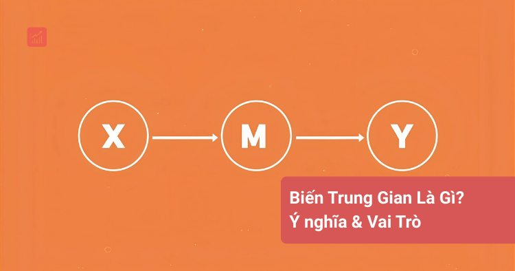 Biến Trung Gian Là Gì_ Ý nghĩa & Vai Trò