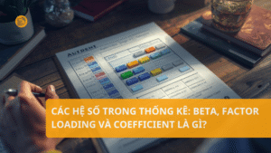 Cac-he-so-trong-thong-ke