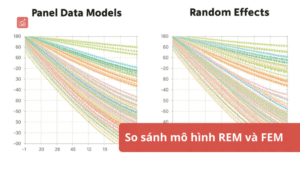 So sánh mô hình REM và FEM