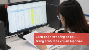 Cach-nhan-xet-bang-so-lieu-trong-SPSS-theo-chuan-luan-van