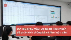 Du-lieu-SPSS-mau