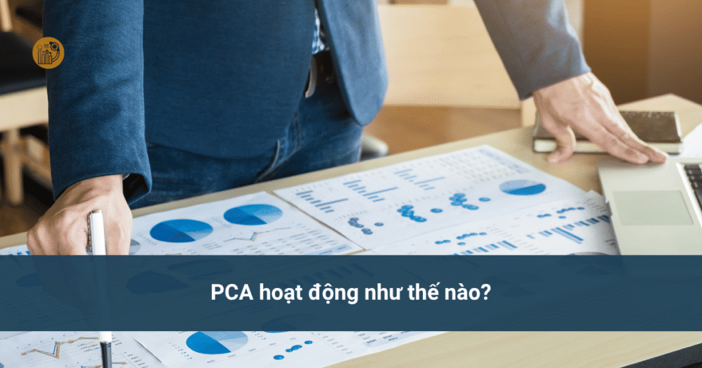 PCA là gì? Nguyên lý và cách áp dụng trong phân tích dữ liệu pca là gì