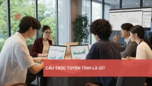 Khái niệm cấu trúc tuyến tính trong đại số tuyến tính và phân tích dữ liệu.
